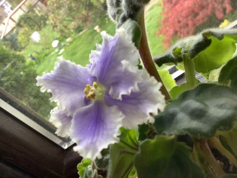 93B8E283-9039-460D-871F-7230A105D5EF - Key Yoki