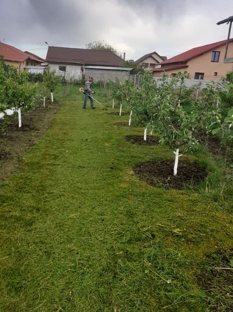 GDLP6985 - 005 Gradina de la Cordun 05 06 05 2020