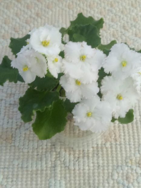 22 apr - ZZ AV Fairy Tale