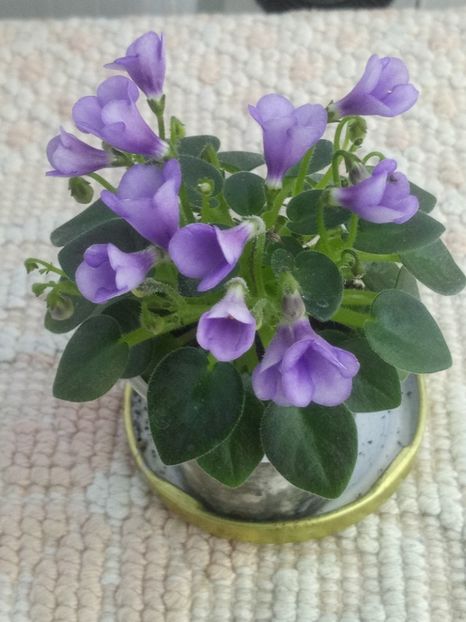 7 mai - SK Landscape in the Fog