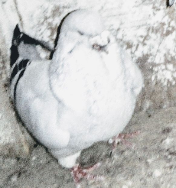  - - A - A - A - A- W A R N I N G !