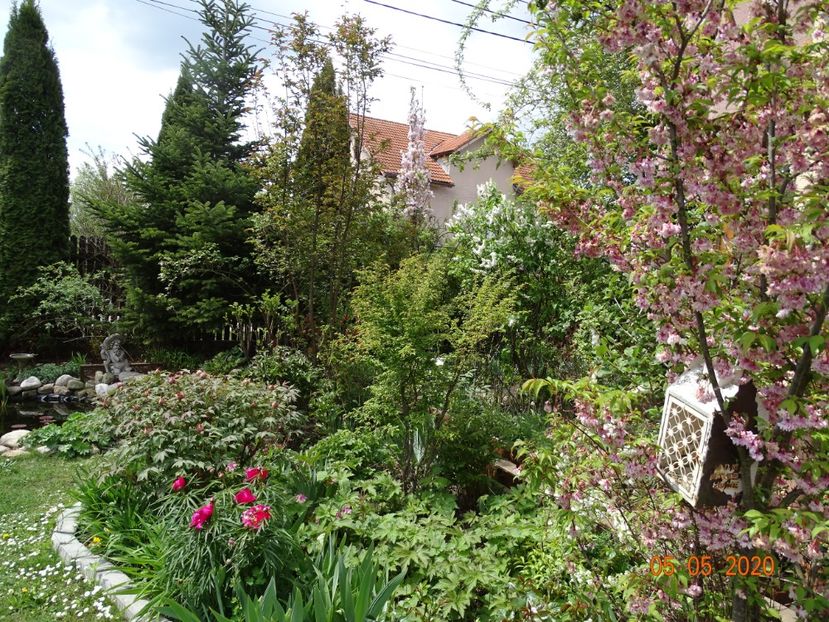  - Gradina 2020