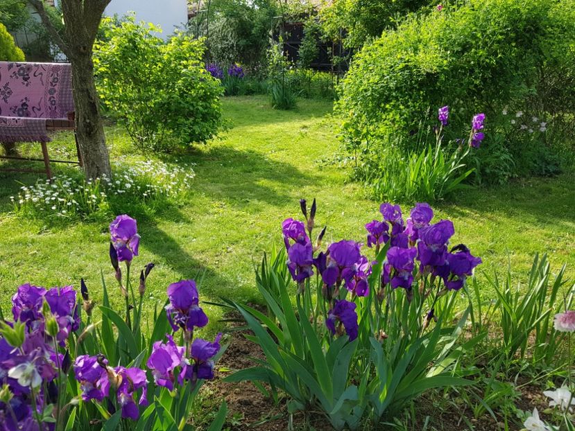  - 2020 Mai _Idilic Garden