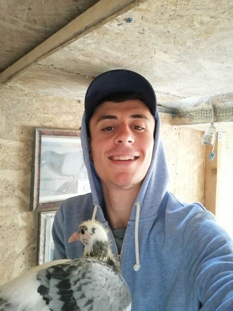  - 2020-Pui Seria întâi