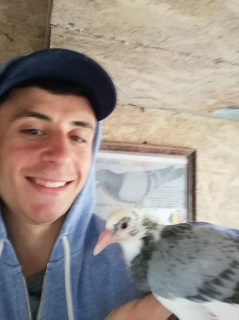  - 2020-Pui Seria întâi