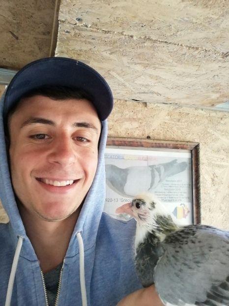  - 2020-Pui Seria întâi