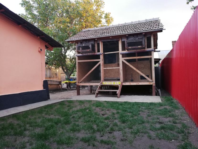  - 2020-Pui Seria întâi