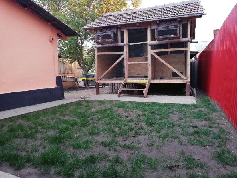  - 2020-Pui Seria întâi