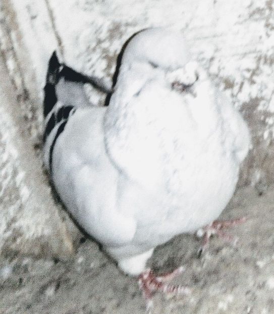  - - A - A - A - A- W A R N I N G !