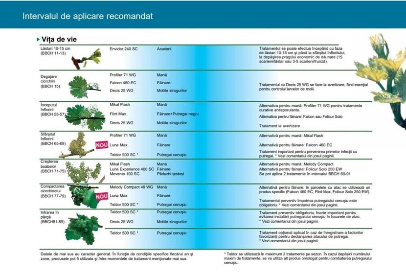 tratament - vita de vie