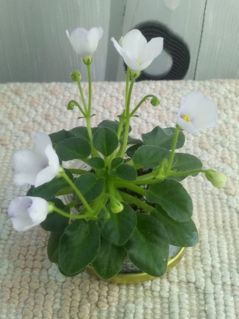 7 mai - Honeymoon Trail