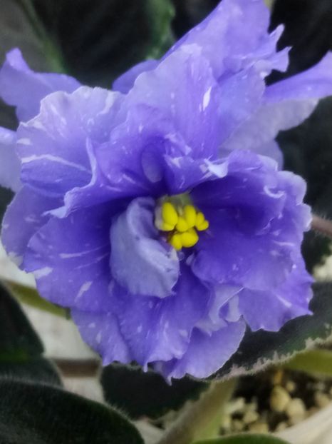 22 apr - RS Underwater Ball