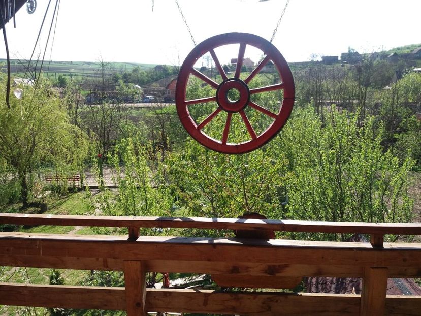 96514866_2657208191191404_3410228668956409856_n (1) - primavara 2020