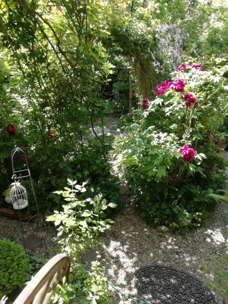  - Grădina 2020 continuare 1