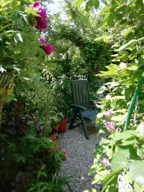  - Grădina 2020 continuare 1