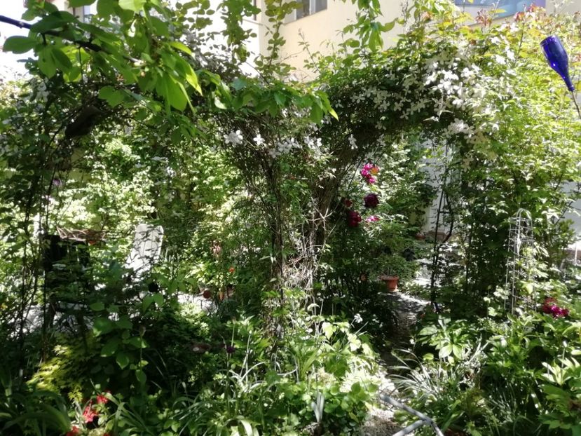  - Grădina 2020 continuare 1