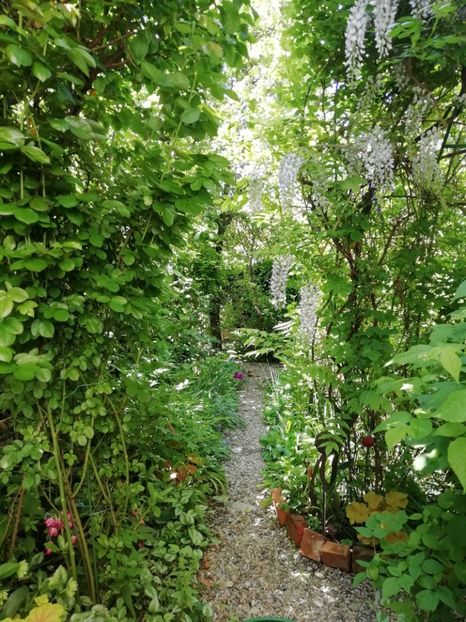  - Grădina 2020 continuare 1