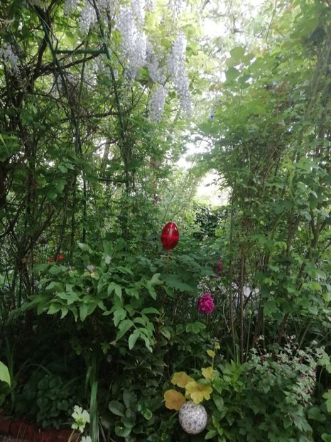  - Grădina 2020 continuare 1