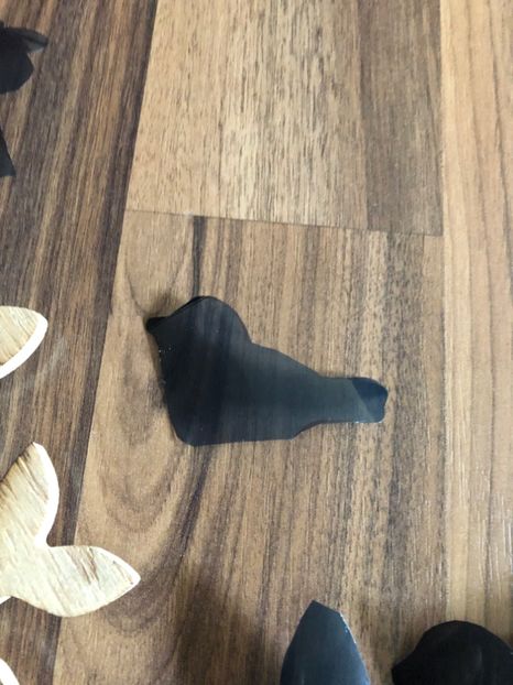 4506D56E-02B0-4704-AF38-7C3232128E7A - Șabloane 2020 pt pictat