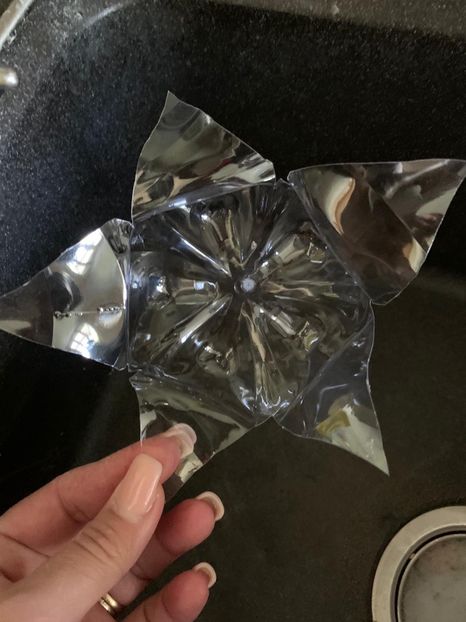 BD6B08B2-6F16-4545-952F-BCA2EDB7DAC3 - Flori din sticle de plastic