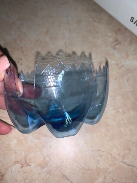 FE8BE7FD-07A2-4801-B9E9-C44B0CD233B8 - Flori din sticle de plastic