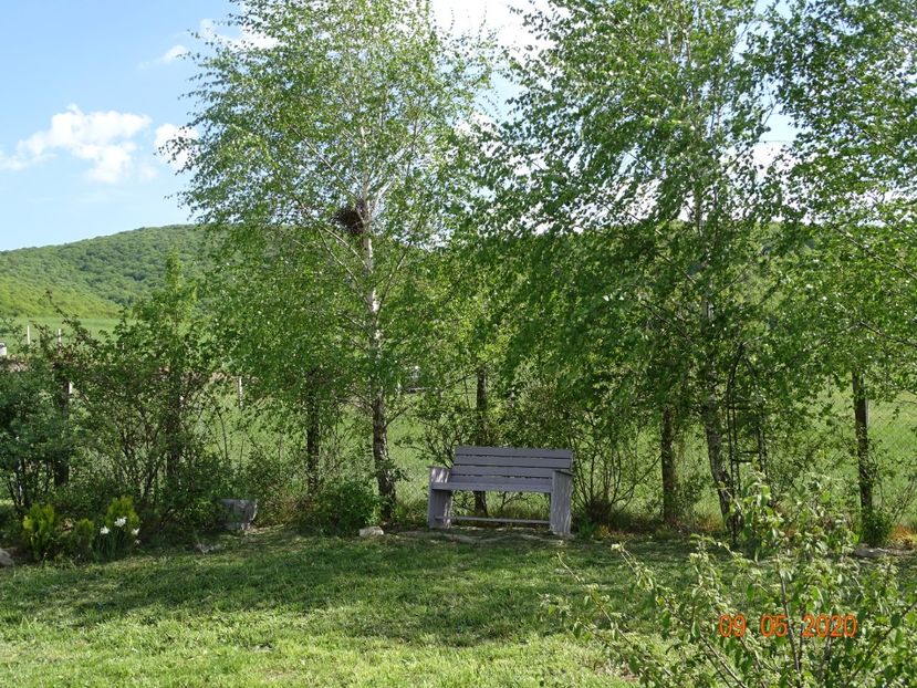 mesteceni - Dobarland 2020 2