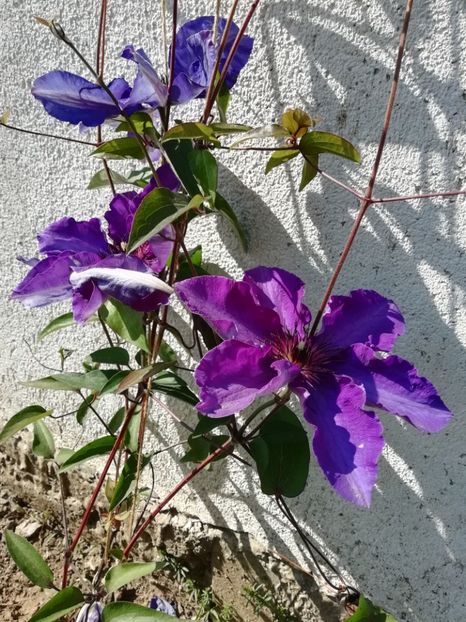 2020-10.05 - 19 The President