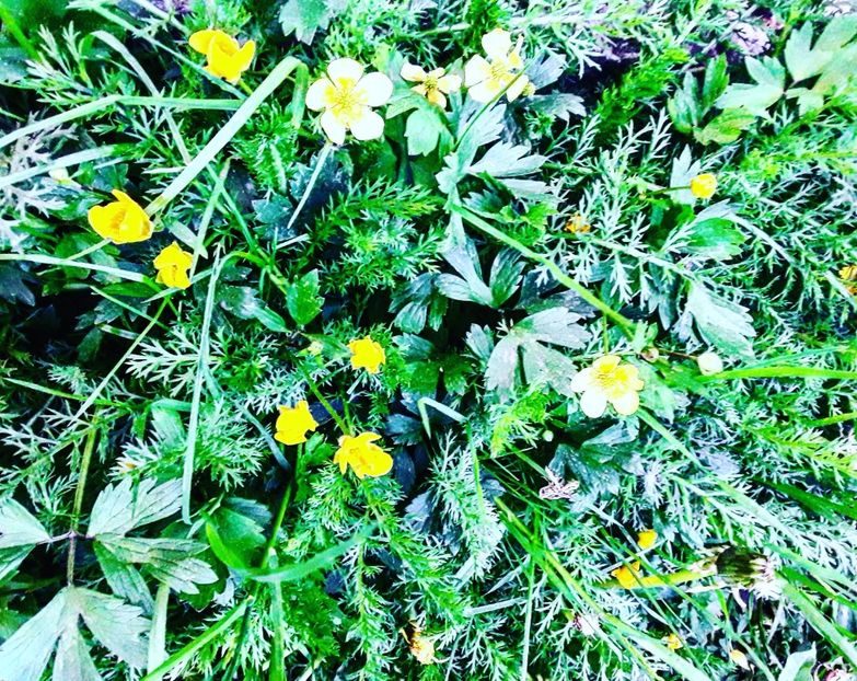  - - O - Fotografii x