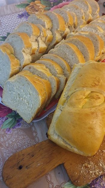 IMG-20200511-WA0016 - Paine de casa