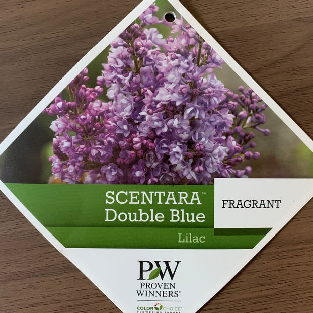  - Jurnalul gradinii 2020