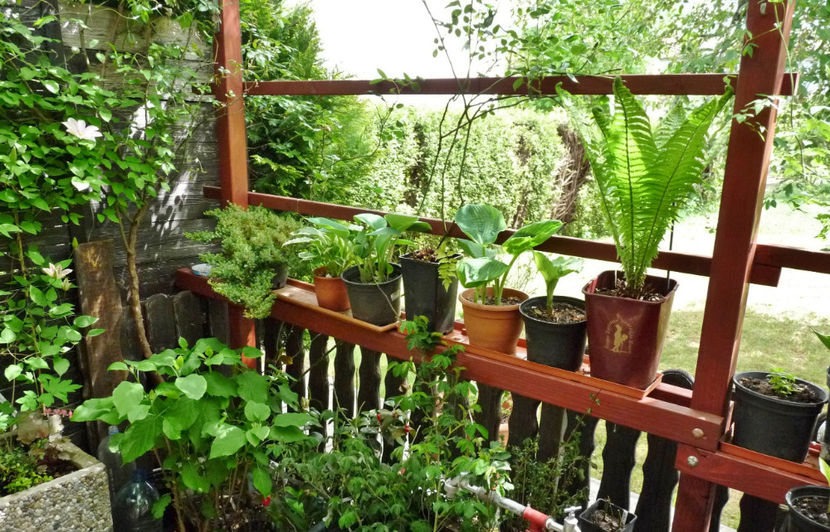  - 2020 - 01 - Primavara