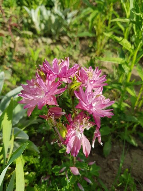  - Caldaruse 2020-2023