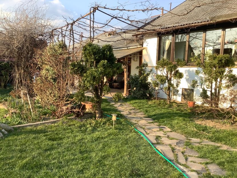 266992F8-07C1-444D-9316-5D30537F4F14 - Gradina 2020