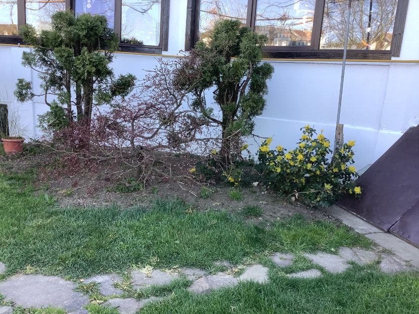 68E6F571-126F-4021-9E18-07FF4DD443E4 - Gradina 2020