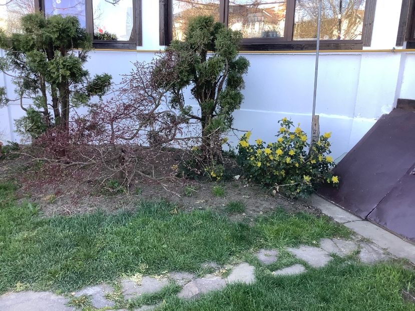 9D8BBD90-7CE7-44F3-A736-D0F92D9D4AAC - Gradina 2020