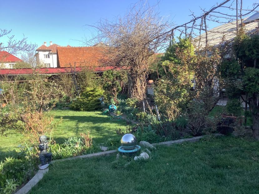6D9A7217-F436-49A8-AE04-4880F1B4B50F - Gradina 2020