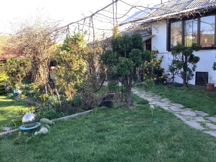 74B80CF0-3B8E-49D7-B245-A813E9BE3B91 - Gradina 2020