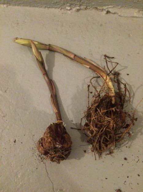 12.05.2020 - Achiziții 2020