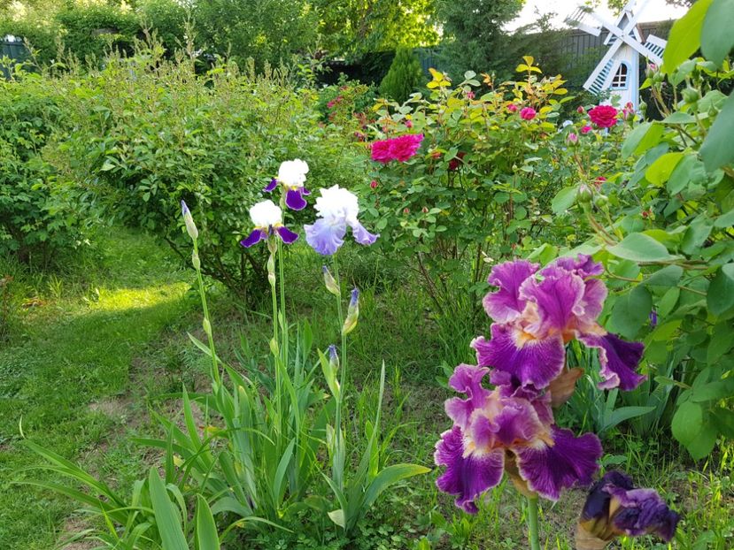  - 2020 Mai _Idilic Garden