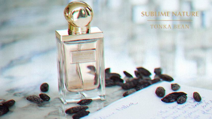 ɪᴍʏꜱᴛɪᴄꜰᴀʟʟꜱ ɢᴏᴛ ꜱᴜʙʟɪᴍᴇ ɴᴀᴛᴜʀᴇ ᴛᴏɴᴋᴀ ʙᴇᴀɴ - Rain is just confetti from the sky