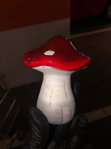 EFF560CF-39F9-4871-88C7-A675E5A9C990 - Achiziții grădina 2020