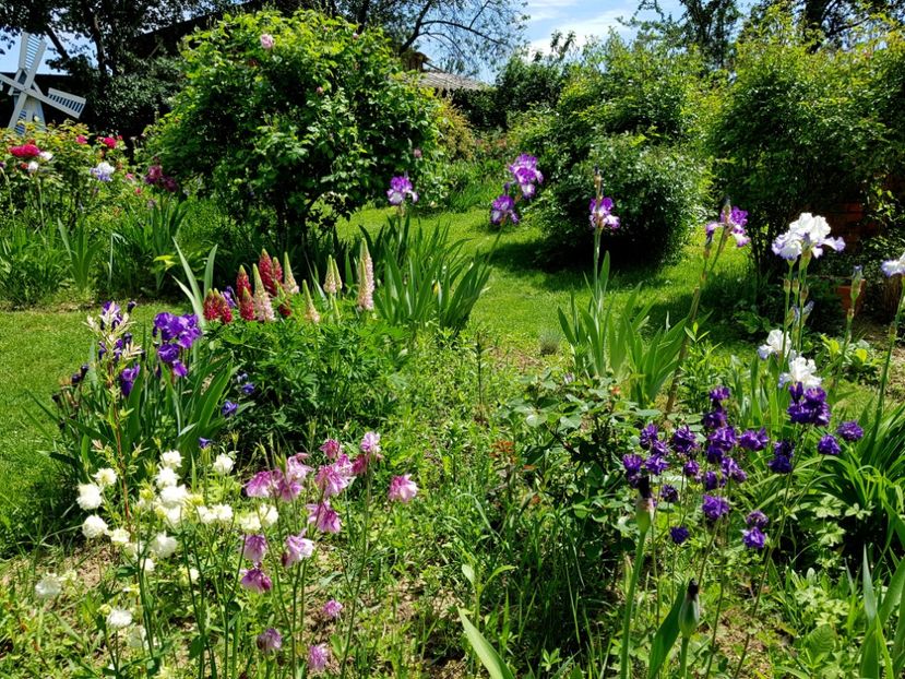  - 2020 Mai _Idilic Garden