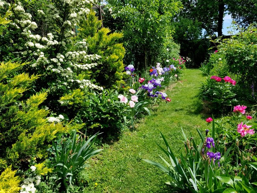  - 2020 Mai _Idilic Garden