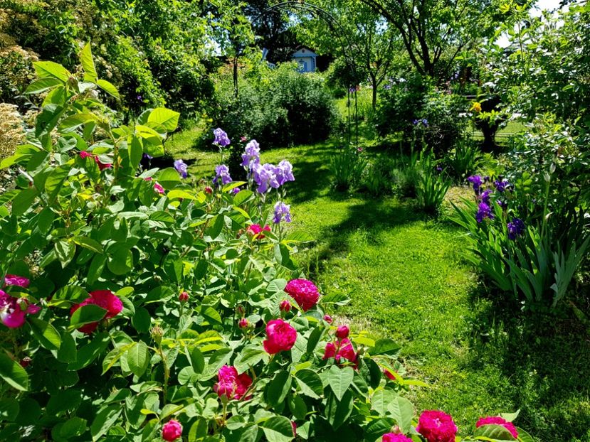  - 2020 Mai _Idilic Garden