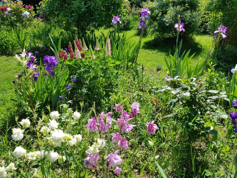  - 2020 Mai _Idilic Garden