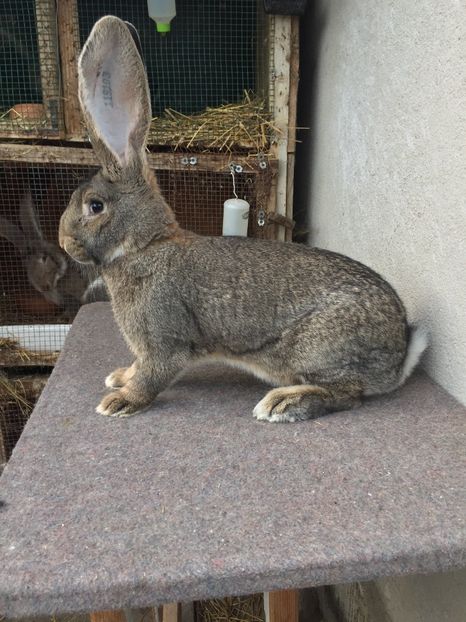 3EDFC7DE-EC11-44A5-8A00-D755249B2E87 - RO 8-119103