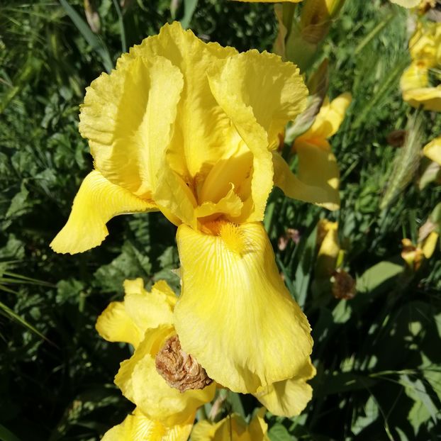  - 0 0-2020-2023 curtea cu toate cele!