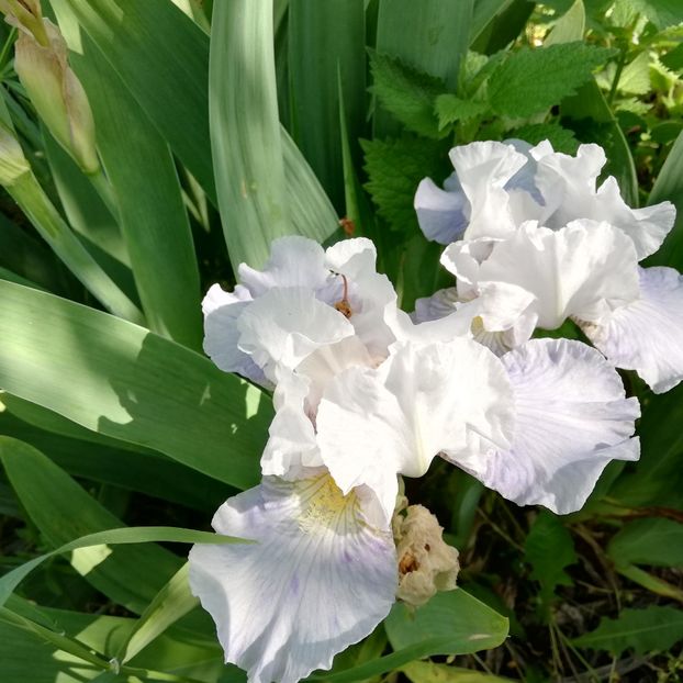  - 0 0-2020-2023 curtea cu toate cele!