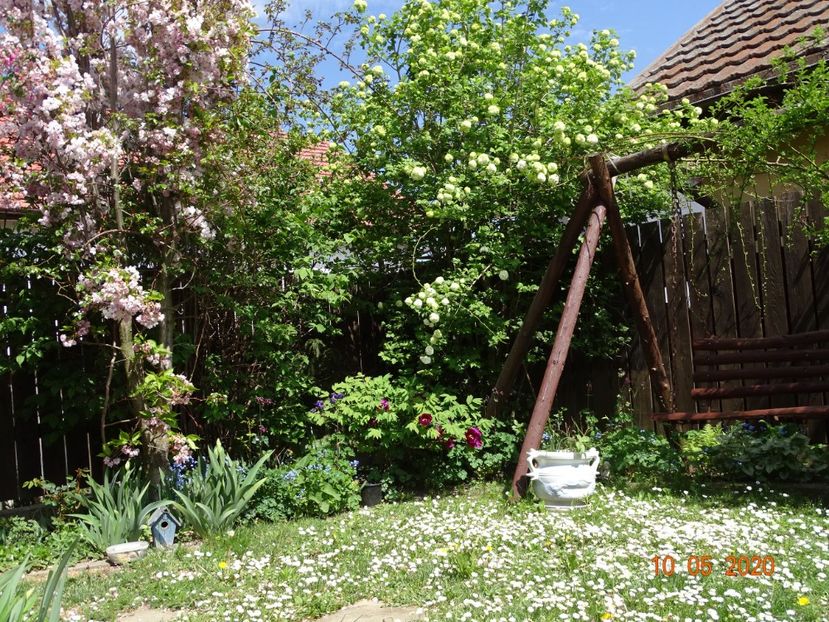  - Gradina 2020