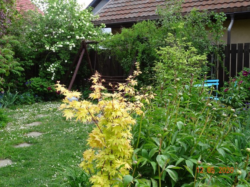  - Gradina 2020